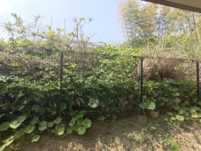 【展望】 | カサブランカ