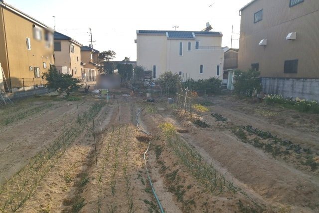 忠岡町忠岡北２丁目　土地の外観