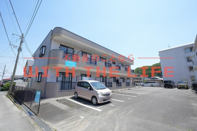 サリナス【キャッシュバック対象】