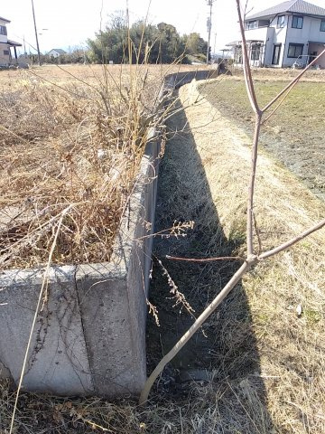 高島市新旭町藁園売土地