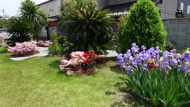 グレイスコートの間取り