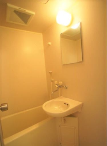 シャトレ東合川の洗面所|ゆったりとスペースのある洗面所