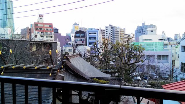 【展望】 | ステューディオ北野