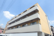 ＮＥＷＯＲＫの画像