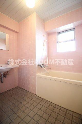 アイン都城の洗面所