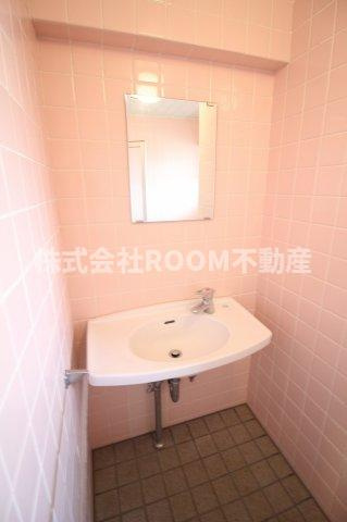 アイン都城の洗面所
