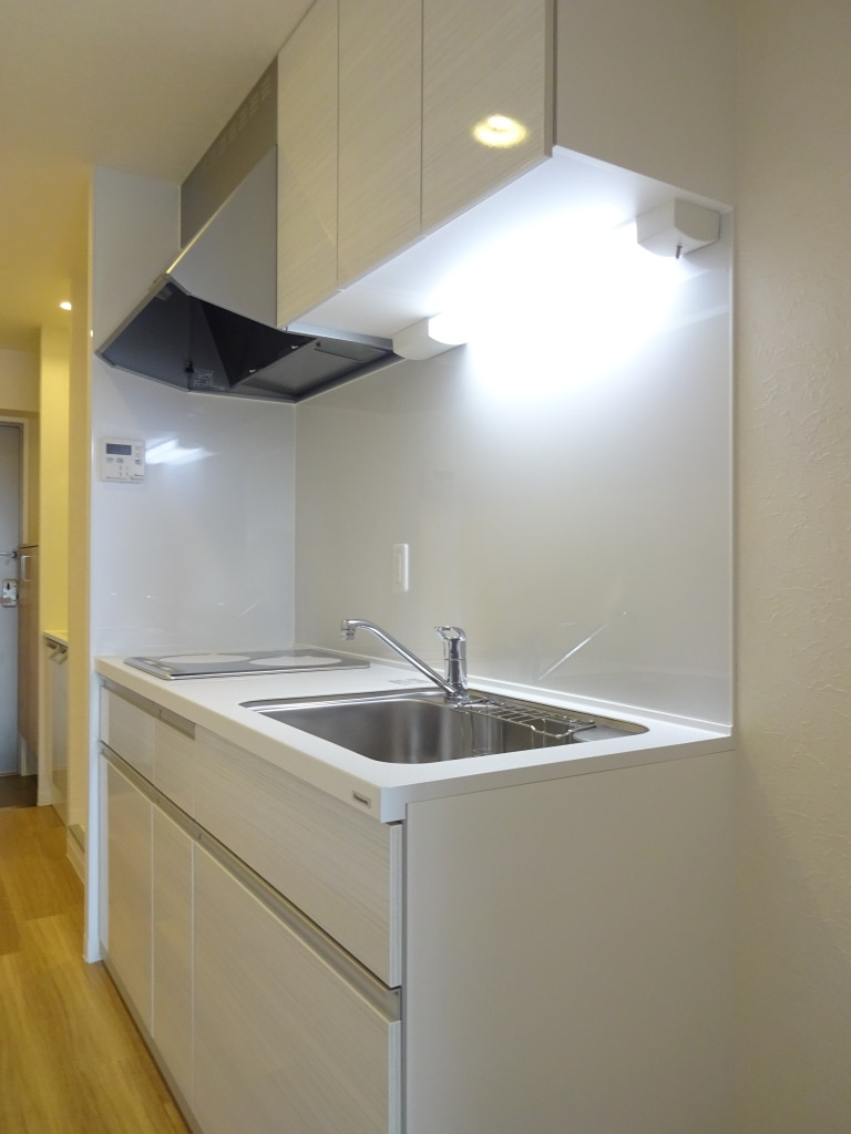 エグゼK&KⅡのキッチン|2口IHクッキングヒーターのシステムキッチン