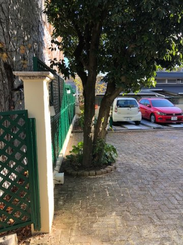 【駐車場】 | 浄水フラッツ | 駐車場です