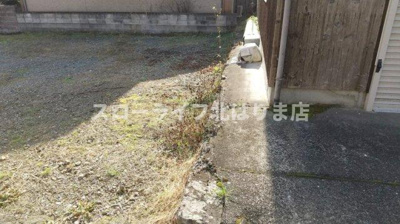 【その他】 | 多可郡多可町八千代区中村