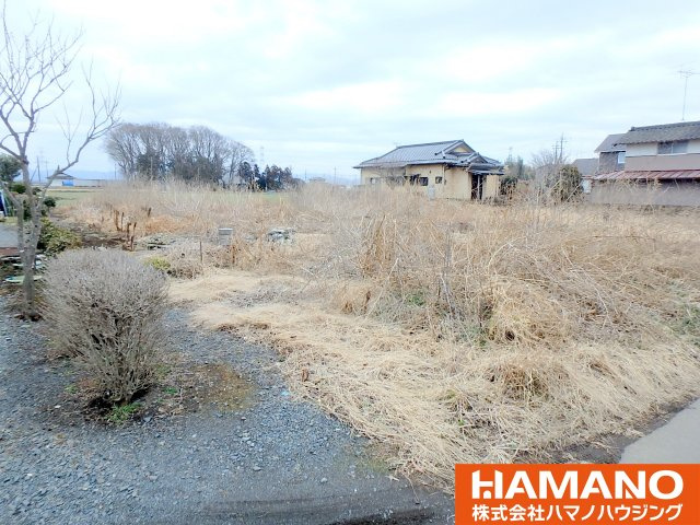 筑西市井出蛯沢土地　約275坪の外観|現地です