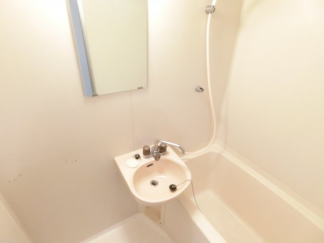 ブルージュ喜志の洗面所