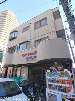 【外観】 | ヌカリヤハイツ