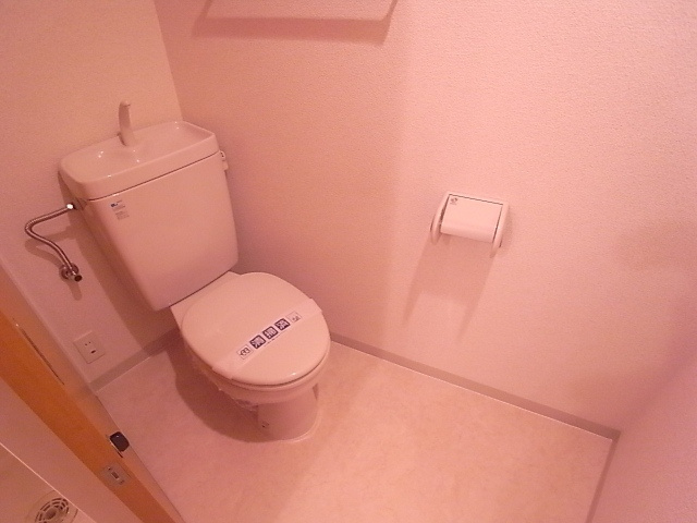 セレソン大濠のトイレ|セレソン大濠（2LDK）トイレ