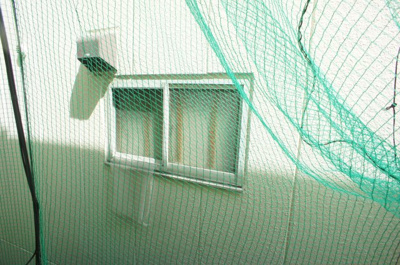 【展望】 | RIZEONE