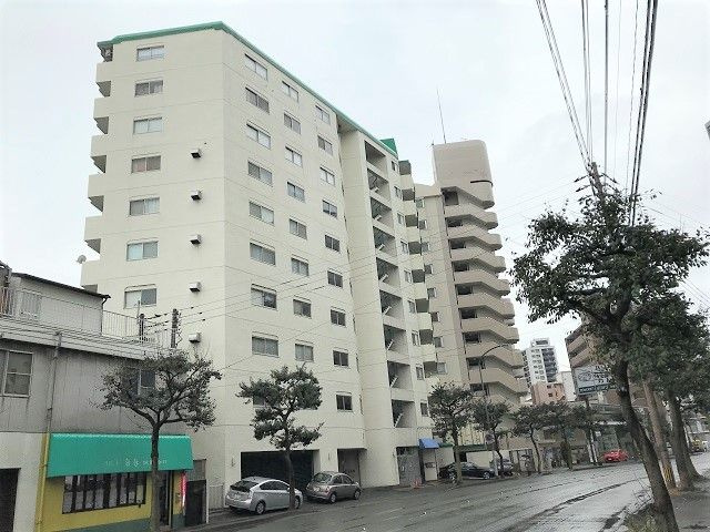 ハイツ城西の外観