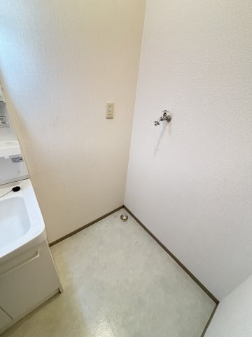 ラルカンシェルB棟の洗面所