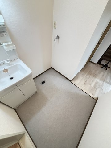 Newプレジール倉敷A棟の洗面所