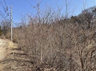 【外観】 | 南側の土地（約280坪）