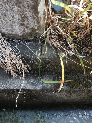 山田町石名坊　売地の周辺