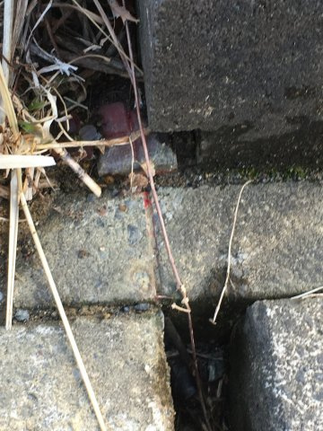 山田町石名坊　売地の周辺