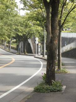 【周辺】 | 霧が丘公園前バス停まで140ｍ、徒歩2分