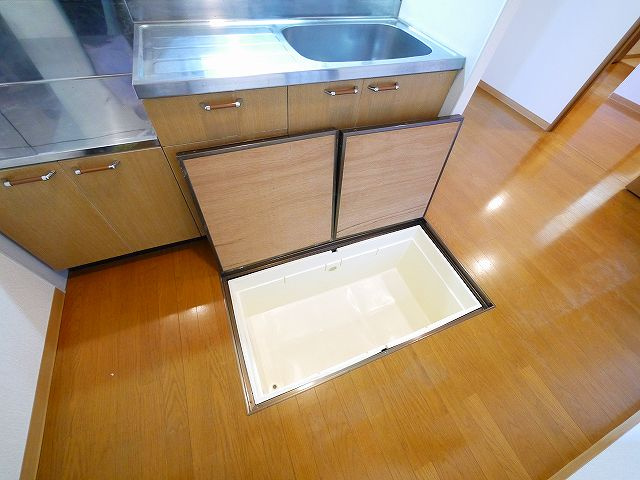 セントポーリアの収納|床下収納が豊富です