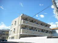 プリオール31の画像