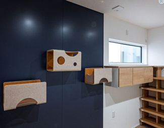 【その他】 | 宝塚市谷口町新築戸建 | 【猫と一緒に暮らす新築戸建】大切な猫ちゃんと暮らす新築戸建てです♪自由設計できます！！※画像はイメージです。