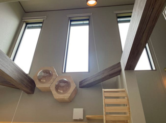 【その他】 | 宝塚市谷口町新築戸建 | 【猫と一緒に新しい暮らしを送りませんか？】自由設計できます！！※画像はイメージです。