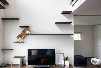 【その他】 | 宝塚市谷口町新築戸建 | 猫と暮らす新築戸建て♪自由設計できます！！※画像はイメージです。