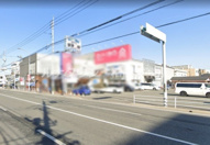 ヒラノビルの画像