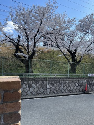 【展望】 | プレタメゾン芦屋岩園 | 店舗入口からの眺望