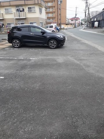 プレジデントハイツ近藤（Ａ）のその他