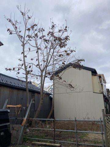 【外観】 | 本町通12番町土地