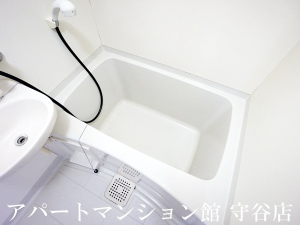 ルネサンス伊奈の浴室
