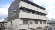 イゾラ ルーチェの画像