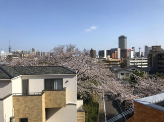 【展望】 | 春には物件から桜を眺められるなど、風景を楽しめます