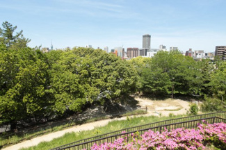 【周辺】 | 地下鉄の駅まで徒歩10分と便利な立地ながら、周辺は緑にあふれた気持ちの良い環境です