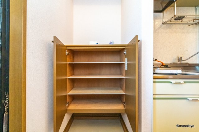 グリーンテラスSTの玄関|下駄箱