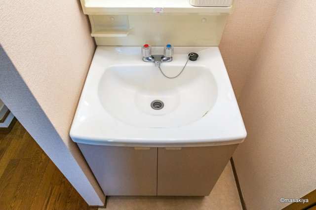 グリーンテラスSTの洗面所|洗面・脱衣