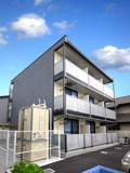 ｓａｋｕｈａｎａの画像