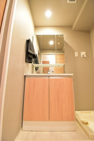 シーズンフラッツ靭本町の洗面所