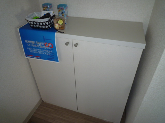 ティファニーＢの玄関|シューズボックス