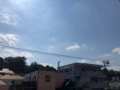 【展望】 | 東急ドエル・アルス横浜小机