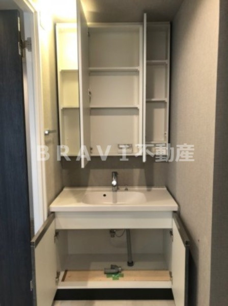 シーズンフラッツ阿波座 BRAVI不動産の独立洗面台|【シーズンフラッツ阿波座】洗面台の収納も豊富です