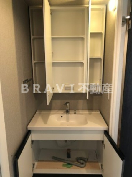 シーズンフラッツ阿波座 BRAVI不動産の独立洗面台