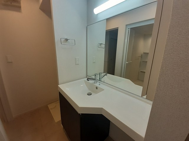 エレガント茱萸木３の洗面所