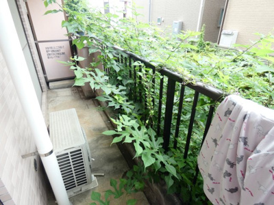 【バルコニー】 | サンモール福生