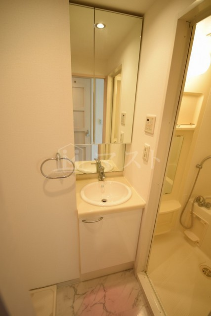 エステムプラザ梅田扇町公園パークランドの洗面所