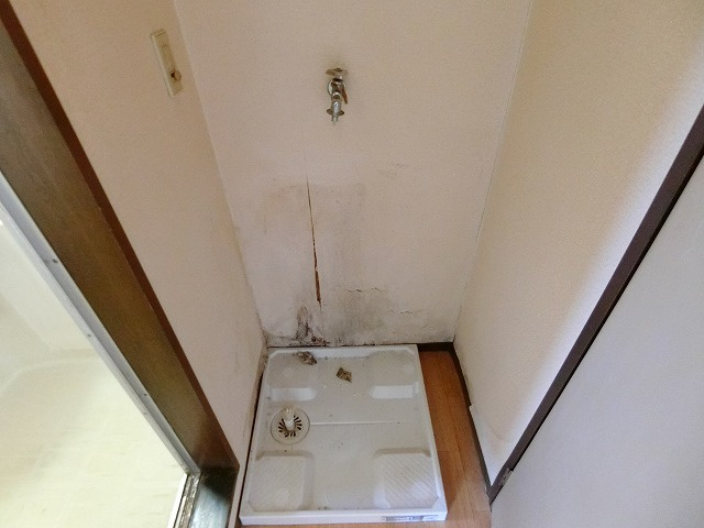 たちばなのその他